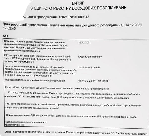 Витіг з реєстру досудовиг рослідувань по справі Василя Шемоти