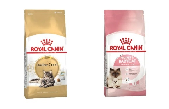 https://101dalmatin.ua/tovary-dlya-kotiv/korm-dlya-kotiv/royal-canin